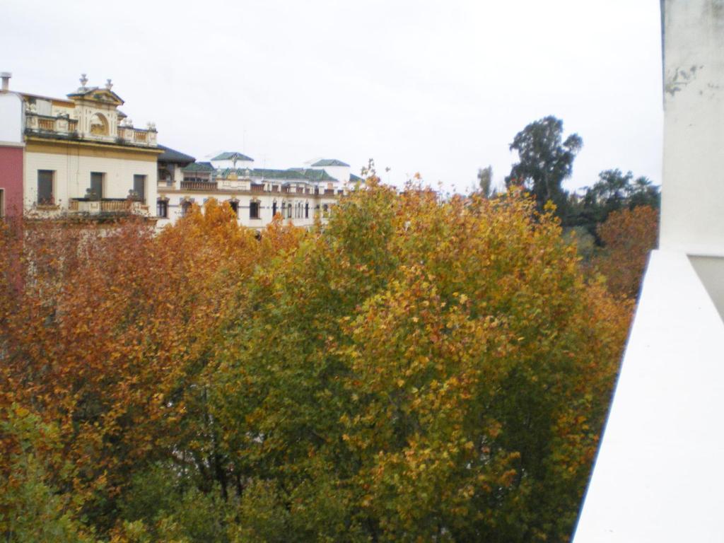 Apartamentos Murallas De Sevilla Eksteriør bilde